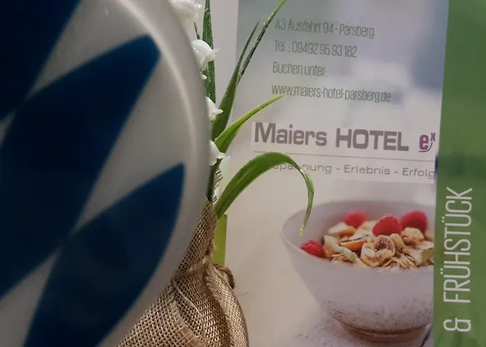 Hotel Maiers 3*